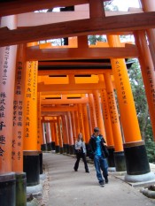 Teens from last year's tour walking under some of the many torii (gates) at the Fushimi Inari Taisha Shinto shrine.