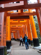 People from last year's tour walking under the many torii (gates) at Fushimi Inari Taisha Shinto Shrine.