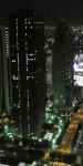 View of Tokyo at night from the Tokyo Municipal Government Building.