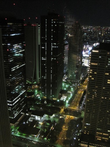 View of Tokyo at night from the Tokyo Municipal Government Building.