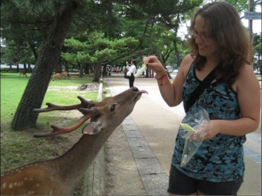 Nadia feeding cabbage to a deer in Nara, Japan. The tame deer roam freely and are considered sacred by the Japanese people.