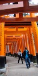 People from last year’s tour walking under the many torii (gates) at Fushimi Inari Taisha Shinto Shrine.